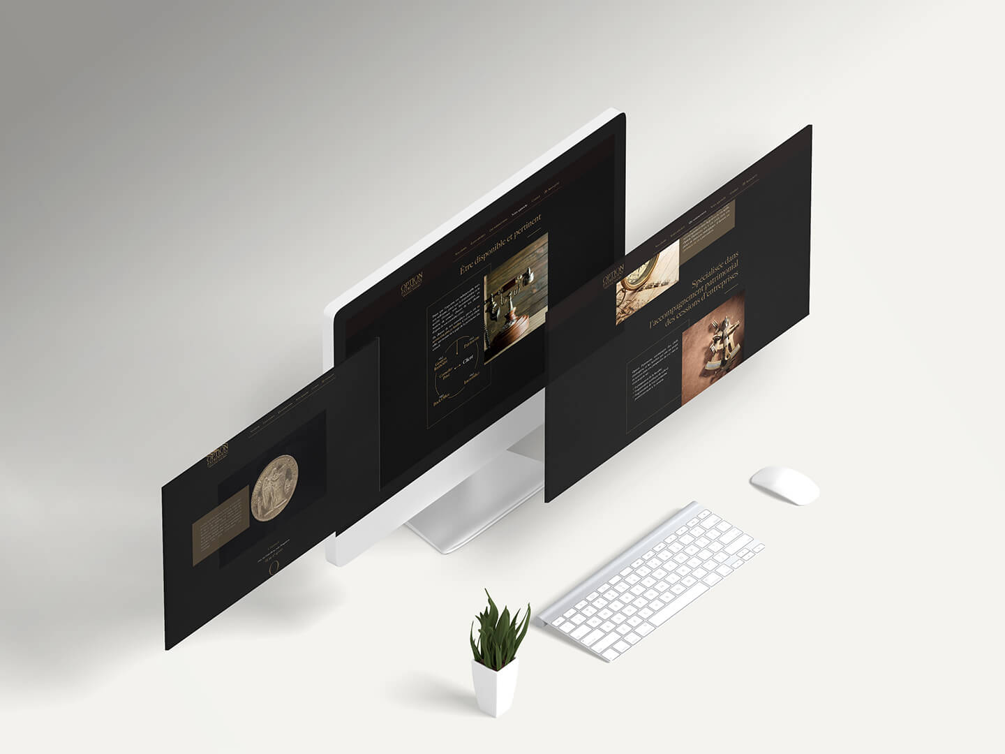 Novo création site internet d'Option Patrimoine
