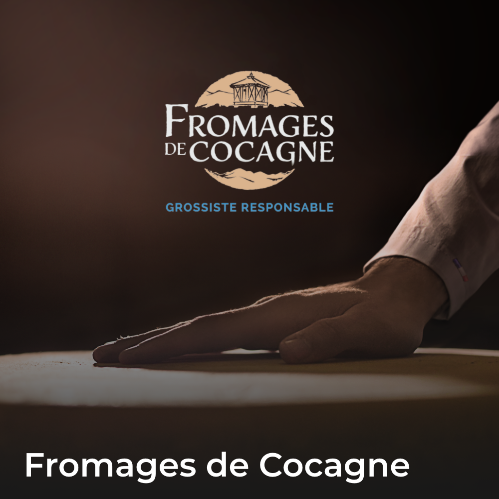 miniature fromages de cocagne