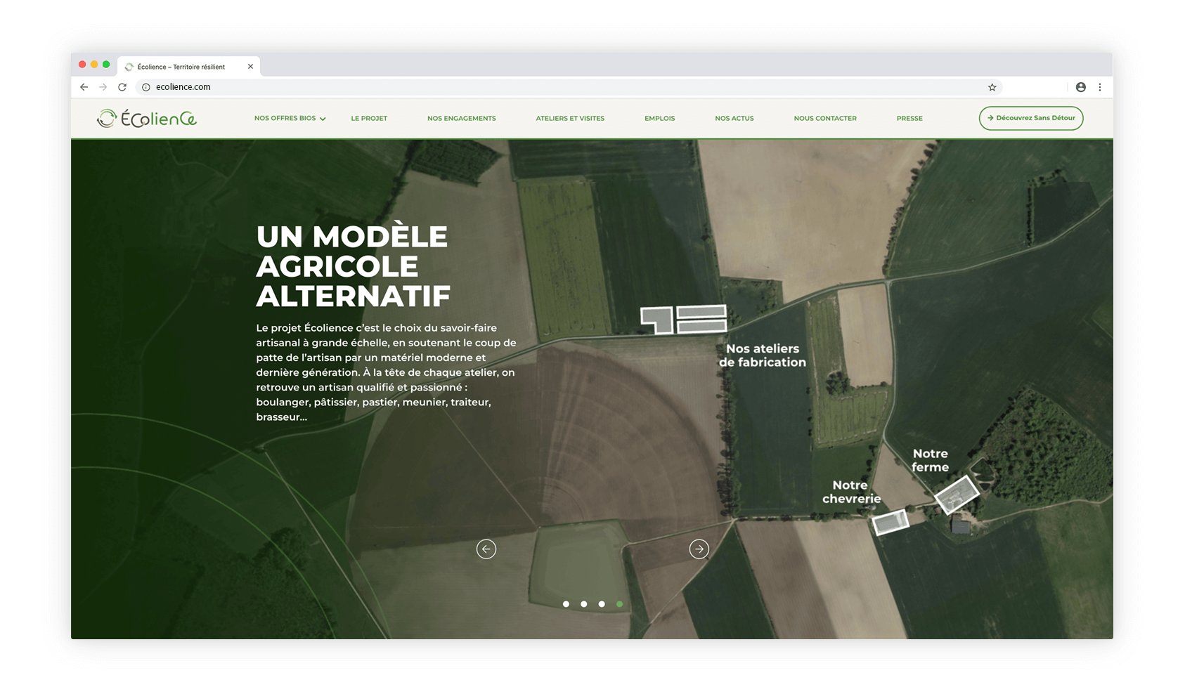 Image module